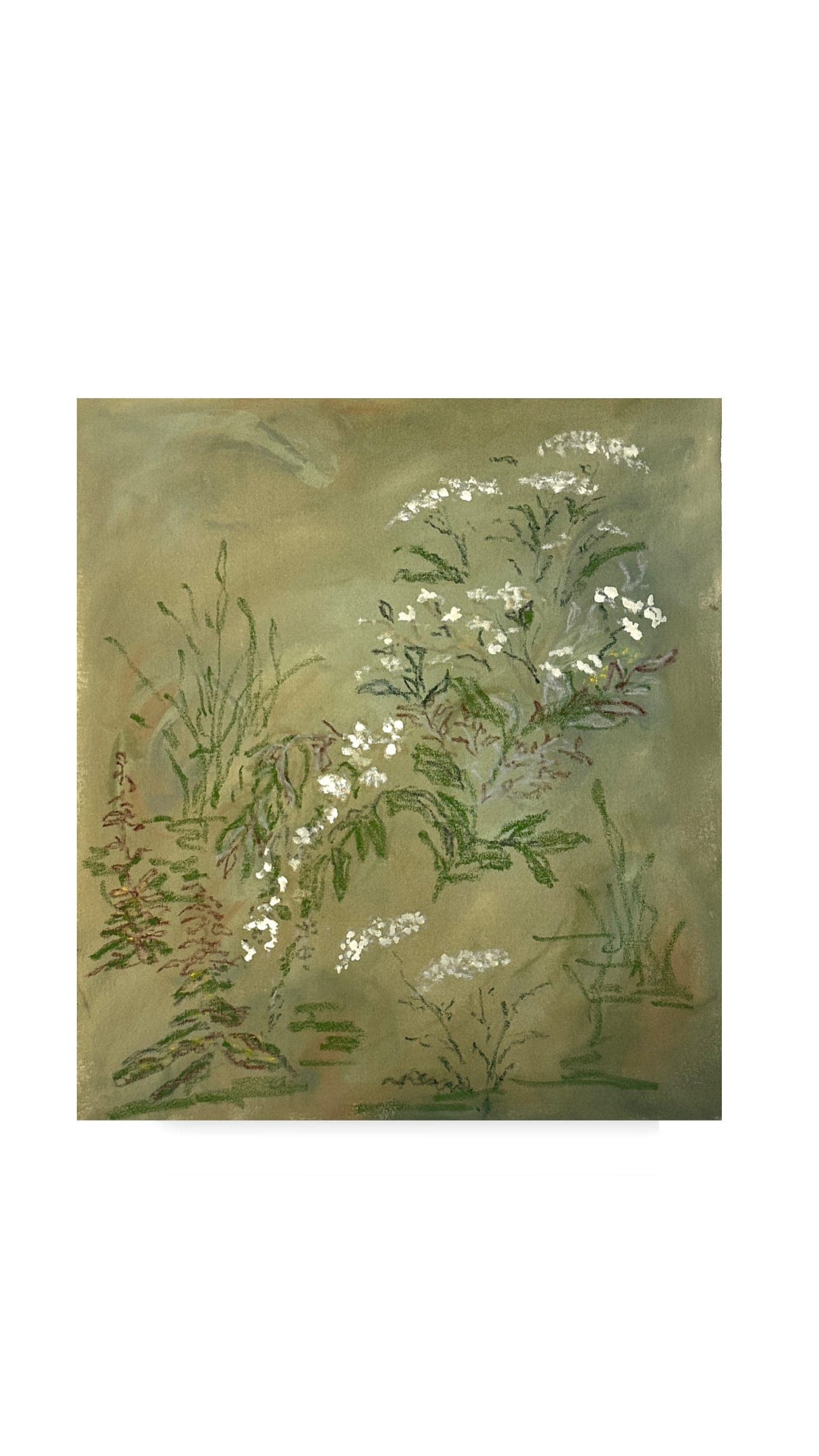 Lakeside Wildflowers n.02